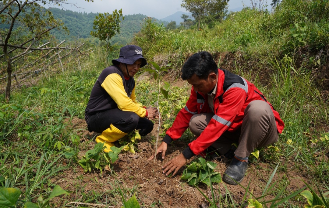 Pupuk Kujang Perkuat Komitmen Lingkungan Melalui Program Penghijauan