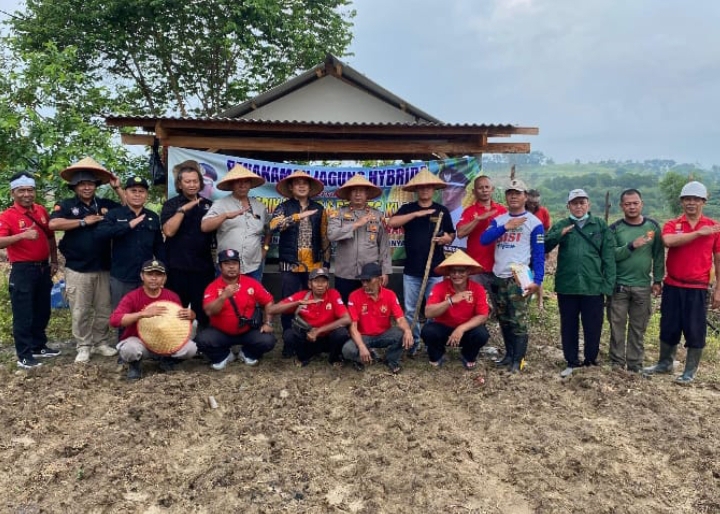 Kapolsek Klari Pimpin Launching Ketahanan Pangan Jagung Hibrida di Desa Karang Anyar