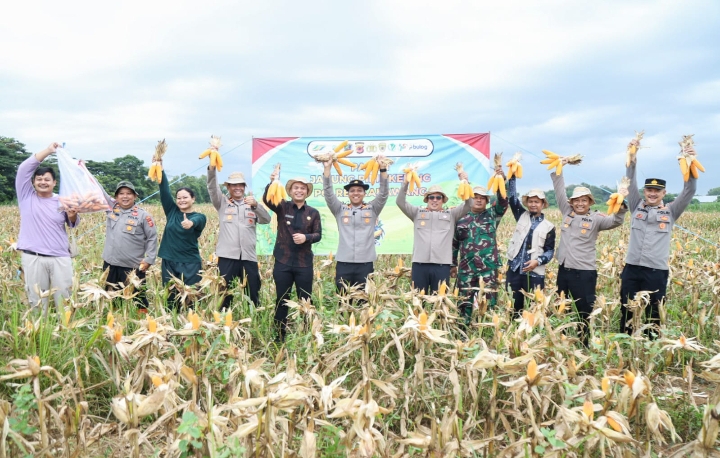 Dukung Ketahanan Pangan, Polres Karawang Panen Raya 28 Ton Jagung Pipil Kering