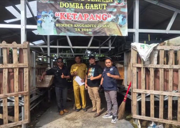 Bumdes Anggadita Juara, Budidaya Peternakan Domba Garut
