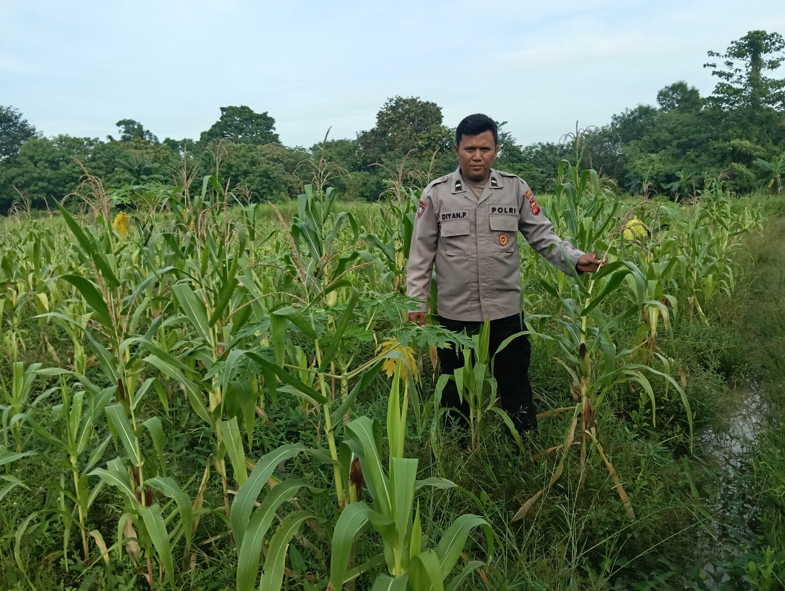 Bhabinkamtibmas Polsek Telagasari Berperan Aktif Dalam Program Ketahanan Pangan