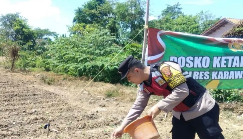 Bhabinkamtibmas Polsek Banyusari Bersama Petani Monitoring Pertumbuhan Tanaman Jagung