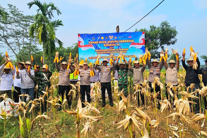 Dukung Program Presiden, Kapolres Karawang Panen Raya Jagung Bareng Para Petani dan Forkopimcam