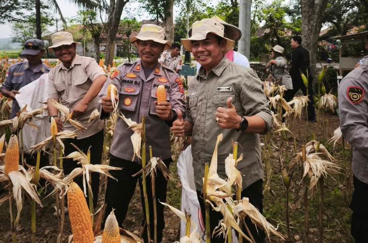 Satreskrim Polres Karawang Mensukseskan Program Swasembada Pangan, Ikut Serta Penanaman Jagung