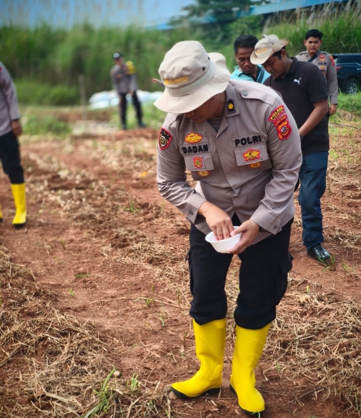 Pastikan Tumbuh Dengan Baik, Satreskrim Polres Karawang Bersama Petani Cek Pertumbuhan Tanaman Jagung