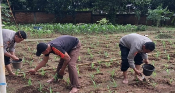 Benih Harapan di Tanah Pancawati, Saat Sinergi Menyemai Masa Depan Ketahanan Pangan Polda Jawa Barat