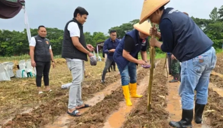 Aksi Nyata Satreskrim Polres Karawang Wujudkan Program Swasembada Pangan 