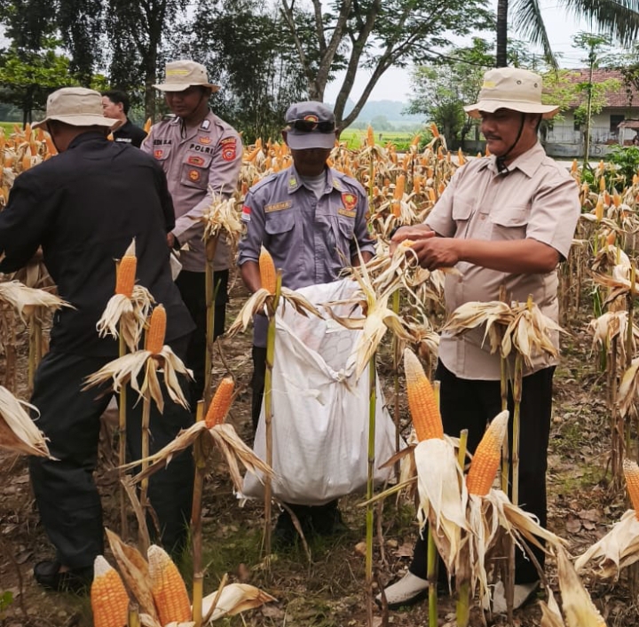Kontribusi Nyata Satreskrim Polres Karawang Dorong Produktifitas Lahan Perkuat Ketahanan Pangan