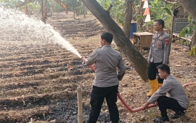 PLH Kapolsek Telukjambe Barat Bersama Personel Laksanakan Penyiraman Lahan Jagung Program Ketahanan Pangan