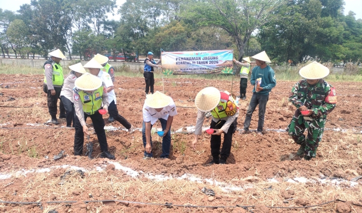 Dukung Swasembada Pangan Nasional, Polresta Karawang Tanam Jagung Seluas 5 Hektare di Lima Polsek Jajaran